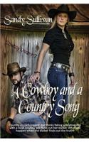Cowboy and a Country Song