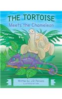 Tortoise Meets the Chameleon