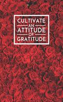 Cultivate an Attitude of Gratitude