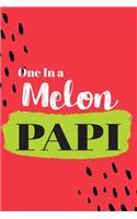 One In a Melon Papi: Cute Family Member Appriciation Diary / Notebook / Journal / Gift Card. Perfect For Birthday or Christmas (6x9 110 blank line pages)