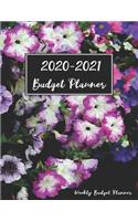 2020 - 2021 Weekly Budget Planner: Finance Organizer Notebook, Daily Personal and Business Expenses and Bills Tracker Journal, Weekly Savings Blank Fill In Guide Notepad, Debt Payoff (1 Income and Expenses Budget Planner)