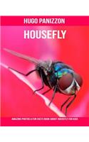 Housefly: Amazing Photos & Fun Facts Book about Housefly for Kids