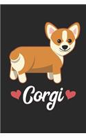 Corgi