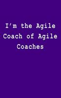 I'm the Agile Coach of Agile Coaches