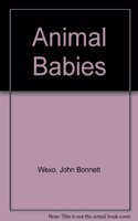 Animal Babies