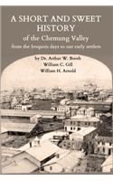 Short and Sweet History of the Chemung Valley from the Iroquois Days to 1923