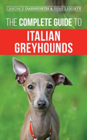 Complete Guide to Italian Greyhounds