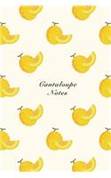 Cantaloupe Notes: 6"x9" Notebook Watercolor Texture Design Fruit Pattern Cover. 108 Blank Lined Pages Matte Softcover Note Book Journal