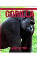 Gorilla: Children's Book of Amazing Photos and Fun Facts about Gorilla