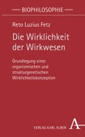 Die Wirklichkeit Der Wirkwesen