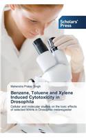 Benzene, Toluene and Xylene Induced Cytotoxicity in Drosophila