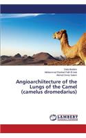 Angioarchiitecture of the Lungs of the Camel (Camelus Dromedarius)