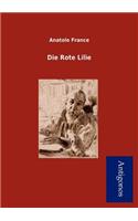 Die Rote Lilie