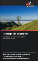 Principi di gestione