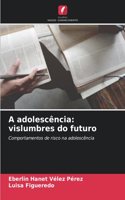 A adolescência