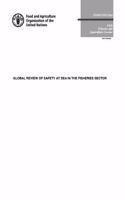 Global Review of Safety at Sea in the Fisheries Sector