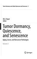 Tumor Dormancy, Quiescence, and Senescence, Vol. 3