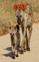 Hyena: Fun Facts & Cool Pictures