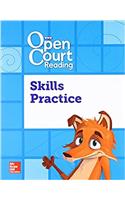 Open Court Reading Foundational Skills Kit, Skills Practice Workbook, Grade 3