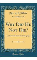 Why Did He Not Die?: Or the Child from the Ebraergang (Classic Reprint)