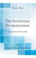 The Intestinal Putrefactions: Clinical Studies of Enterocolitis (Classic Reprint)