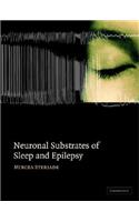 Neuronal Substrates of Sleep and Epilepsy