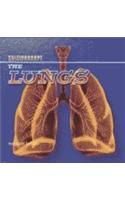 Lungs