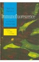 Rapid Viral Diagnosis by Immunoflouresce
