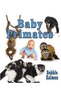 Baby Primates