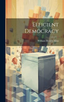 Efficient Democracy