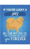 If You're Lucky A Spitz Will Come Into Your Life, Steal Your Heart And Change You Forever