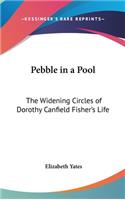 Pebble in a Pool