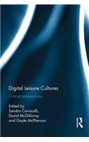 Digital Leisure Cultures