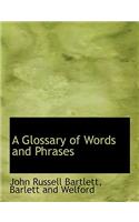 A Glossary of Words and Phrases