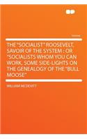 The Socialist Roosevelt, Savoir of the System