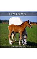 Horses Our Friends and Companions 2017: Faithful Friends of People(Calvendo Animals)