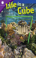 Life in a Cube: (Smithsonian: Informational Text)