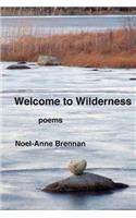 Welcome to Wilderness: poems