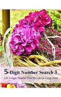 5-Digit Number Search 3