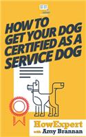 How to Get Your Dog Certified as a Service Dog