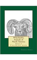 Wildlife Animals of North America Adult Coloring Book