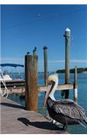 Cool Pelican in Key West Florida USA Bird Journal: 150 Page Lined Notebook/Diary