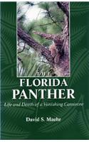 Florida Panther