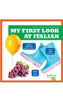 My First Look At Italian: (First Look at Languages)