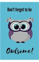 Don't Forget To Be Owlsome: Owl Calendar 2020 - Owlsome Kalender - Yearly & Weekly Calendar 2020 - Daily Weekly 2020 Planner Organizer With To Do's and More - Get Shit Done Pla