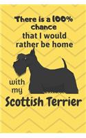There is a 100% chance that I would rather be home with my Scottish Terrier: For Scottish Terrier Dog Breed Fans