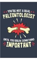 You're Not a Real Paleontologist Until You Break Something Important
