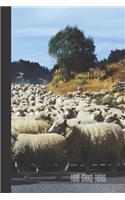 road sheep notes