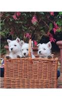 School Composition Book Three Puppies Basket Dog Photo 200 Pages: (Notebook, Diary, Blank Book)(Pet Photo Composition Notebooks)