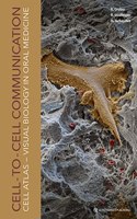 Cell-To-Cell Communication Cell-Atlas: Visual Biology in Oral Medicine